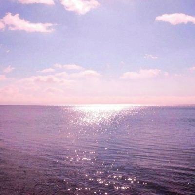 万博·ManBetX手机手机app下载